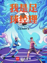 我是足球经理