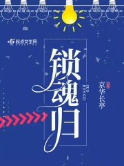 锁魂归