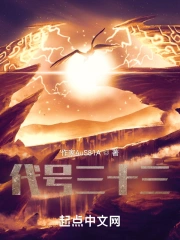代号三十三
