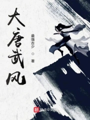 大唐武风