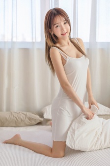 大宋权臣