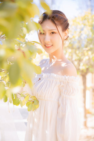 苟在灵田里种药的日子